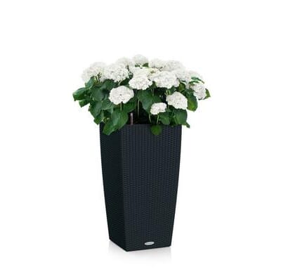 CUBICO Cottage 40 graphite sort plantekrukke selvvanningskrukke blomsterpotte krukke høy svart lechuza.jpg