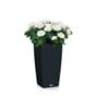 CUBICO Cottage 40 graphite sort plantekrukke selvvanningskrukke blomsterpotte krukke høy svart lechuza.jpg
