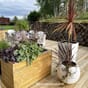 Cubico cottage 40 stor isolert blomsterkasse blomsterpotte krukke terrasse lechuza utemøbler kopi.jpg