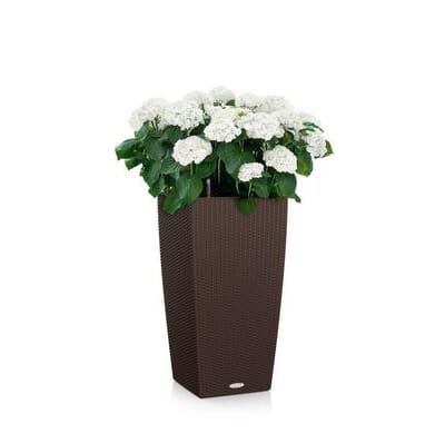 CUBICO Cottage mokka plantekrukke selvvanningspotte krukke krukker lechuza blomsterkasseriet.jpg