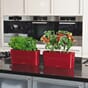 Delta 10-20 blomsterkar plantekar blomsterkasse plantekasse blomsterkasser plantekasser innerom selvvannende Lechuza Blomsterkasseriet 2.jpg