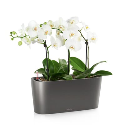 Delta 20 lechuza plantekar selvvanningskar selvvanningskasse plantekasse table planter blomsterkasseriet design interiør.jpg