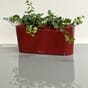 Delta 20 plantekar selvvanningskrukke urtekrukke lechuza blomsterkasseriet rød plantekar jul advent grønne planter blomsterpotte 2 kopi.jpg