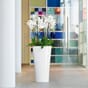 DELTA 30 hvit høyglans plantekrukke blomsterpotte krukke krukker lechuza blomsterkasseriet.1png_1.jpg