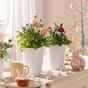 Deltini blomsterpotte vase krukke lechuza hvit selvvanning.jpg