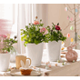 Deltini mini hvit vase blomsterpotte krukke lechuza selvvanning interiør.png