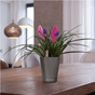 Deltini vase blomsterpotte krukke plantepotte selvvanning grå lechuza.png