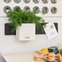 Green Wall Home Kit Color plantekrukke urtekrukke på vegg lechuza blomsterkasseriet.jpg