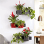 Green wall home urtepotte blomsterpotte vegg plantekrukke urtekrukke lechuza.png