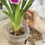 LECHUZA ORCHIDPON 3 liter c.jpg