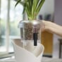 LECHUZA ORCHIDPON 3 liter orkideepotte drenering næring krukker.jpg