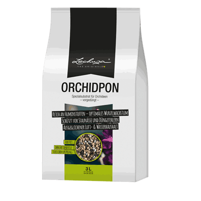 LECHUZA ORCHIDPON 3 liter.png