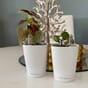 Mini deltini lechuza blomsterkasseriet hvit blomsterpotte krukke vase bord.jpg
