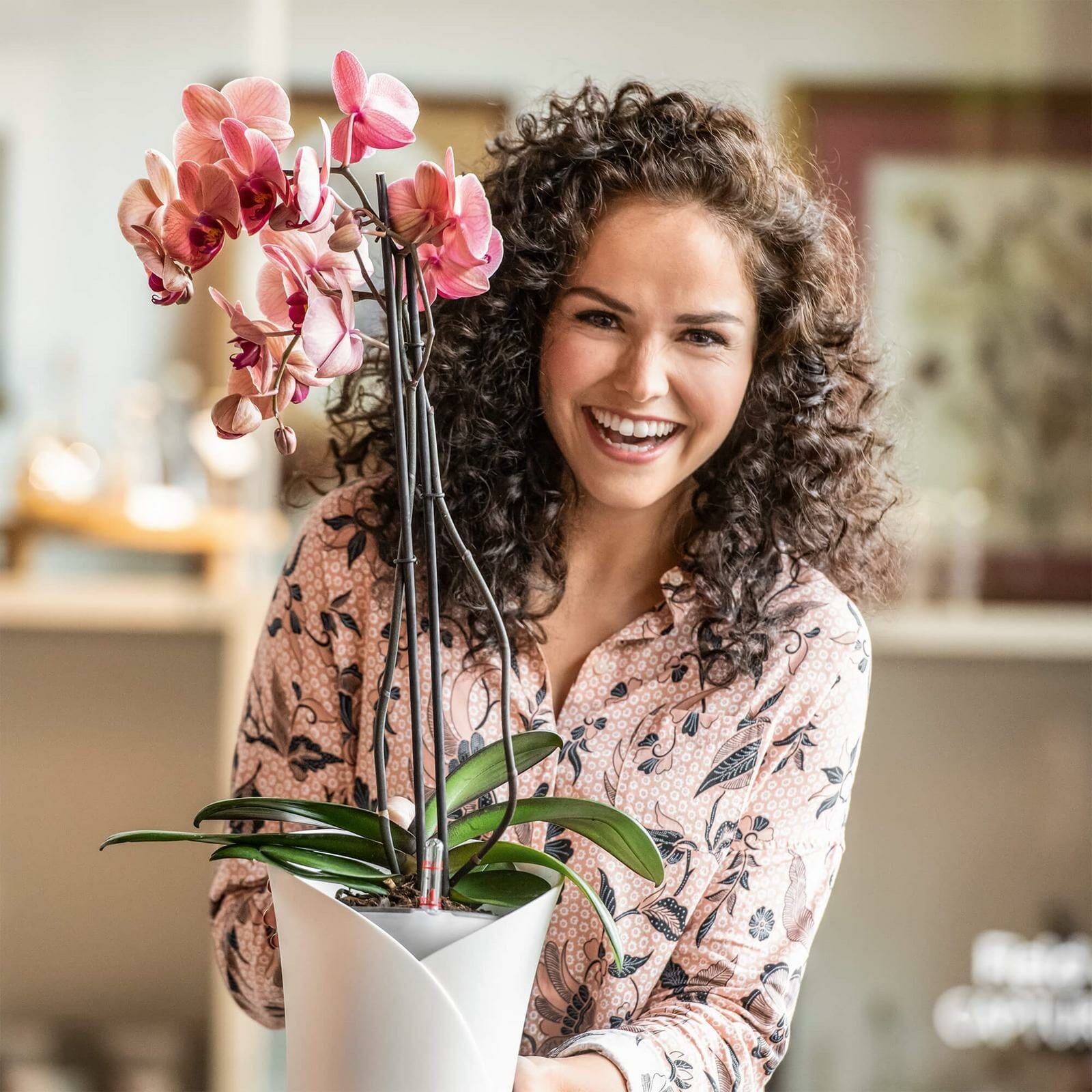 Orchidea selvvanningspotte krukke orkide orkideer Blomsterkasseriet Lechuza.jpg