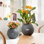 Puro Color 20 plantekrukke selvvannende Lechuza bordbeplanting innendørs blomster planter Blomsterkasseriet 1.jpg