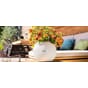 Puro Color 20 plantekrukke selvvannende Lechuza bordbeplanting innendørs blomster planter Blomsterkasseriet 3_1.jpg