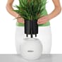 Puro Color 20 plantekrukke selvvannende Lechuza bordbeplanting innendørs blomster planter Blomsterkasseriet 6_1.jpg