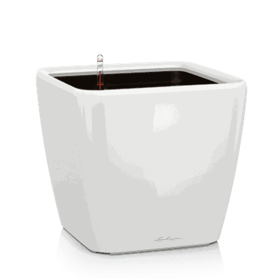 QUADRO LS 21 hvit høyglans plantekasse plantekrukke blomsterkasse lechuza blomsterkasseriet selvvanningskrukke.png