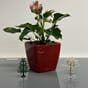 Quadro LS 21 plantepotte blomsterpotte lovi dekortre interiør design juletre season tree hvit rød dekorasjon jul blomsterkasseriet.jpg