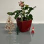 Quadro LS 21 rød blomsterkrukke blomsterpotte lechuza lovi dekortre juletre julekuler julegran dekor julepynt blomsterkasseriet.jpg