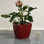 Quadro LS 21 scarlet rød høyglans blomsterpotte plantepotte krukke plantekrukke blomsterkrukke potte krukker lechuza lovi alv.jpg