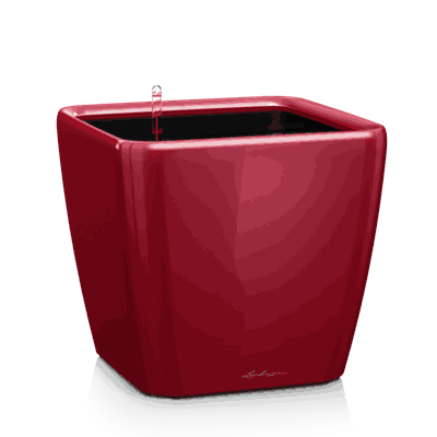 QUADRO LS 21 scarlet rød høyglans plantekasse plantekrukke blomsterkasse lechuza blomsterkasseriet selvvanningskrukke.png