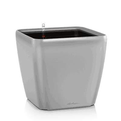 QUADRO LS 21 sølvgrå metallic plantekasse plantekrukke blomsterkasse lechuza blomsterkasseriet selvvanningskrukke.png