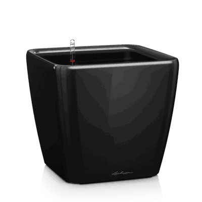 QUADRO LS 21 sort høyglans plantekasse plantekrukke blomsterkasse lechuza blomsterkasseriet selvvanningskrukke.png