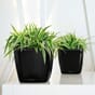 QUADRO LS 21 sort plantekrukke plantekasse blomsterkasse blomsterkrukke selvvanningskrukke lechuza blomsterkasseriet.jpg