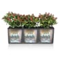 TRIO Cottage 30 plantekasse selvvanningskasse blomsterkasse lechuza blomsterkasseriet.jpg