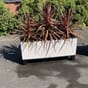 Trio cottage 40 blomsterkasse hvit plantekasse palmer palme uterom lechuza blomsterkasseriet selvvanningskasse kopi.jpg