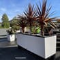 Trio cottage 40 hvit stor plantekasse blomsterkasse plantekasser lechuza selvvanningskasse blomsterkasseriet kopi.jpg