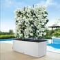 Trio Cottage 40 selvvanningskasser blomsterkasse plantekasser blomsterkasseriet Lechuza.jpg