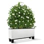 Trio Cottage hvit plantekasse blomsterkasse selvvanningskasse lechuza blomsterkasseriet plantekasser blomsterkasser_1.jpg