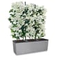 TRIO Stone lechuza blomsterkasse selvvanningskasse espalier frostsikker plantekasse plantekasser blomsterkasser blomsterkasseriet terrasse.jpg