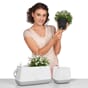 Yula potte og planteveske selvvanning lechuza blomsterkasseriet.jpg