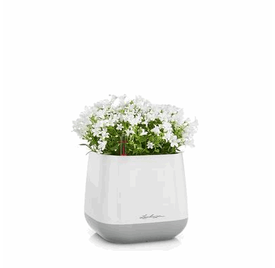 Yula selvvanningskrukke potte blomsterpotte blomsterkrukke lechuza blomsterkasseriet hvit grå krukker _1.png