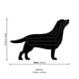 lovi-labrador-measures_1.jpg