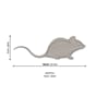 lovi-mouse-measures_1.jpg