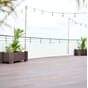 Muscari plantekasse brun plantekasser store terrasse vedlikeholdsfri 1 stor.jpg