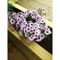 Isolert blomsterkasse 180x50x70cm LBH plantekasse blomsterkasse blomsterkasser plantekasser blomsterkasseriet terrassekasse uterom surfina.jpg