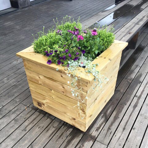 Blomsterkasser Plantasjen () Blomsterkasser Plantasjen