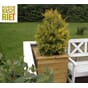 Isolert blomsterkasse impregnert furu a 50x50x50cm LBH Blomsterkasseriet blomlåda plantekasse terrassekasse tuja plantekasse blomsterkasse_1.jpg