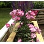 Isolert blomsterkasse impregnert furu plantekasse blomsterkasser blomsterkasseriet uterom terrasse store blomsterkasser 2.jpg