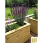 Isolert blomsterkasse impregnert furu plantekasse blomsterkasser blomsterkasseriet uterom terrasse store blomsterkasser store takterasse.jpg