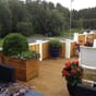 Isolert blomsterkasse plantekasse blomsterkasser blomsterkasseriet uterom terrasse takterrasse plantekasser frodige uterom blomster tuja.jpg