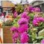Isolert blomsterkasse plantekasse blomsterkasseriet imp furu plantekasser terrassekasse balkong terrrasse sameie_1.jpg