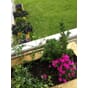 Isolert blomsterkasse plantekasse blomsterkasseriet impregnert furu plantekasser terrassekasse 12 balkong terrrasse sameie 2.jpg