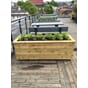 Isolert blomsterkasse plantekasse blomsterkasseriet takterrasse sameie borettslag bymiljø uterom 2.jpg