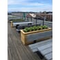 Isolert blomsterkasse plantekasse blomsterkasseriet takterrasse sameie borettslag bymiljø uterom plantekasser store.jpg